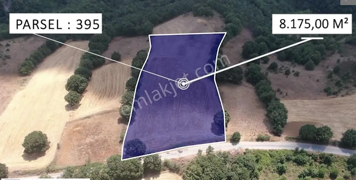 Çanakkale Biga Sarısıvat Köyü 8.175 M2 Satılık Fırsat Tarla