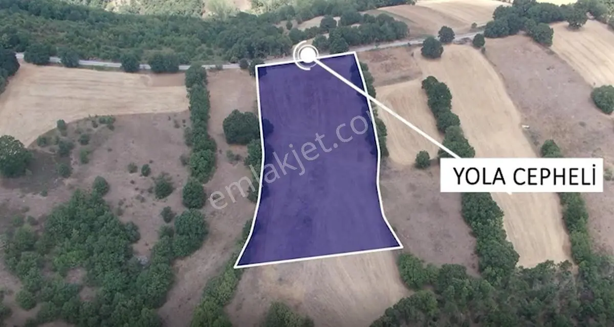 Çanakkale Biga Sarısıvat Köyü 8.175 M2 Satılık Fırsat Tarla — fotoğraf 2