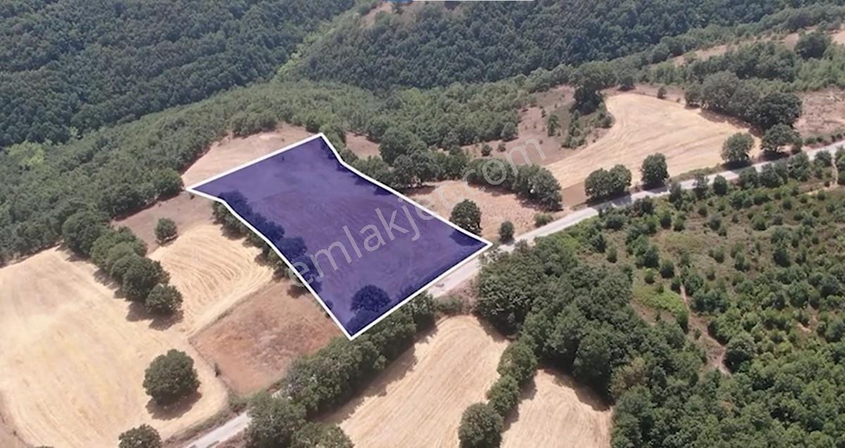 Çanakkale Biga Sarısıvat Köyü 8.175 M2 Satılık Fırsat Tarla — fotoğraf 6