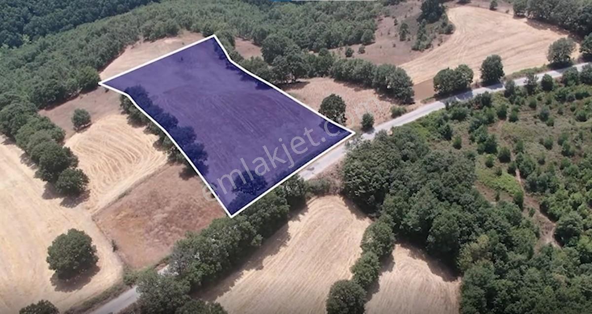 Çanakkale Biga Sarısıvat Köyü 8.175 M2 Satılık Fırsat Tarla — fotoğraf 7