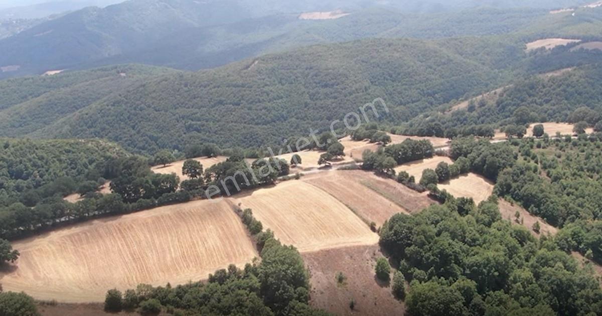 Çanakkale Biga Sarısıvat Köyü 8.175 M2 Satılık Fırsat Tarla — fotoğraf 8