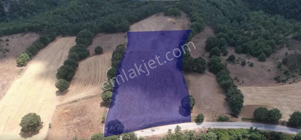 Çanakkale Biga Sarısıvat Köyü 8.175 M2 Satılık Fırsat Tarla — fotoğraf 9