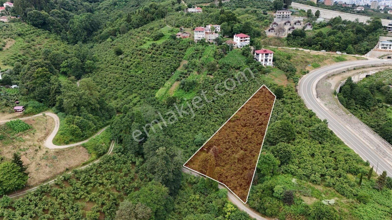 Royal'Den Trabzon Kavala'Da Satılık Arsa