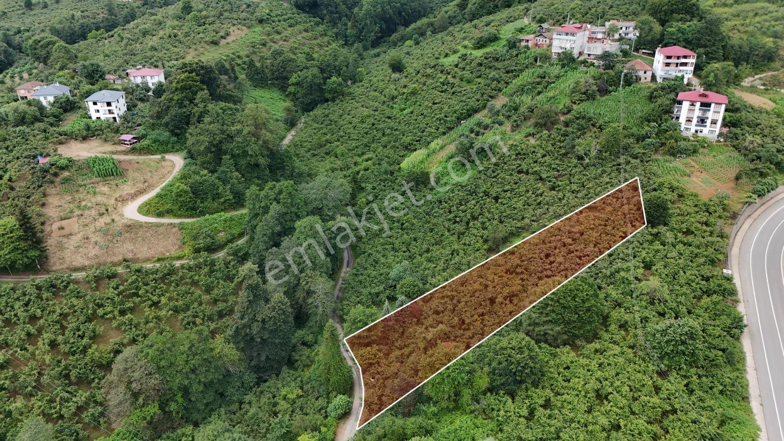 Royal'den Trabzon Kavala'da Satılık Arsa — fotoğraf 2