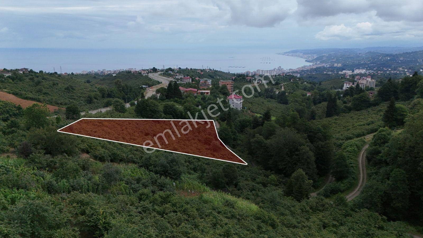 Royal'den Trabzon Kavala'da Satılık Arsa — fotoğraf 4