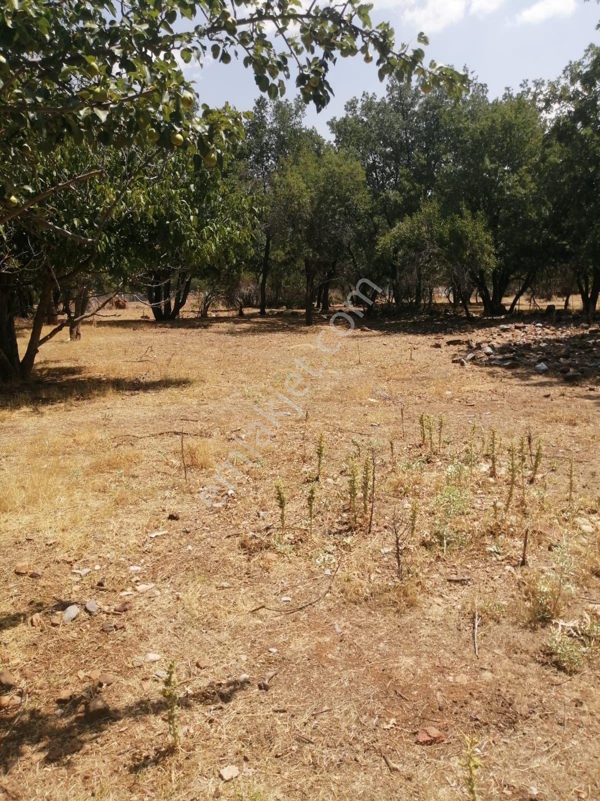 Acıpayam Satılık Tarla