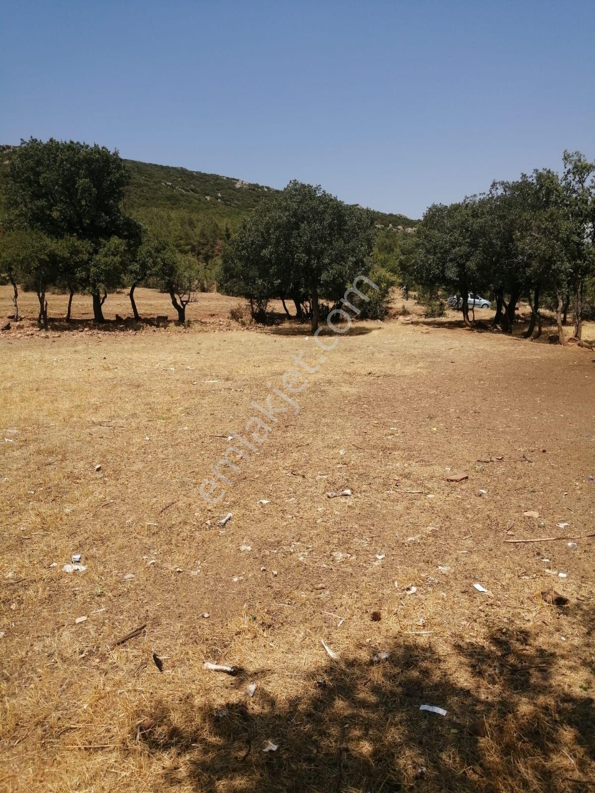 Acıpayam Satılık Tarla — fotoğraf 3