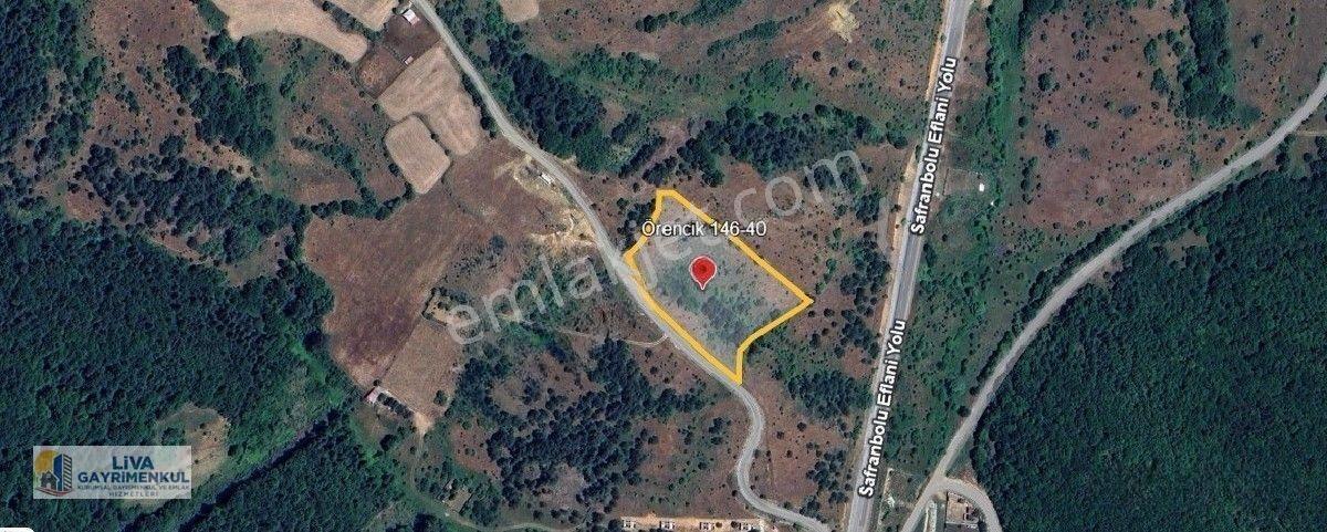 Safranbolu Örencik Köyünde Eflani Yolu Üzeri 8697M2 Tarla Satılıktır