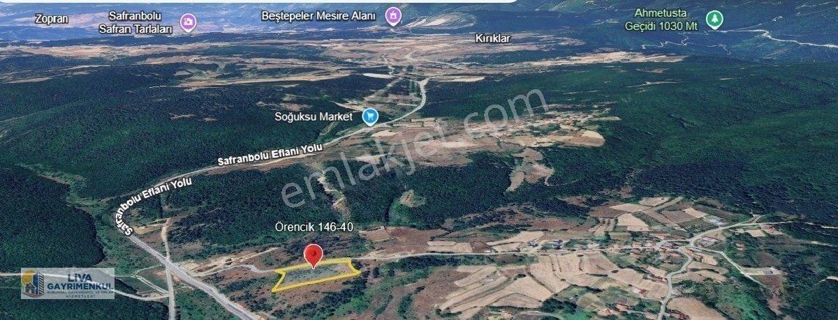 Safranbolu Örencik Köyünde Eflani Yolu Üzeri 8697m2 Tarla Satılıktır — fotoğraf 4