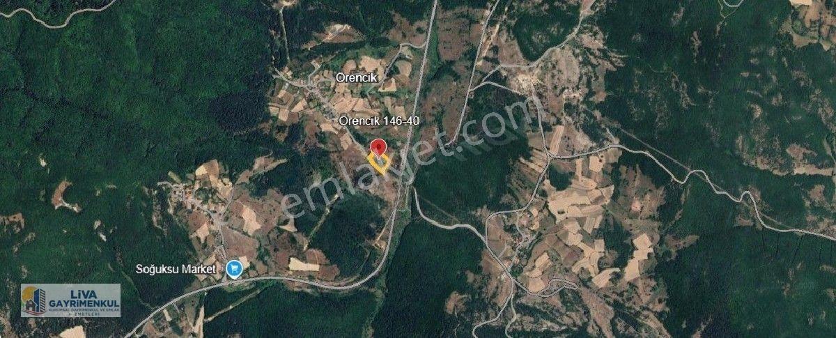 Safranbolu Örencik Köyünde Eflani Yolu Üzeri 8697m2 Tarla Satılıktır — fotoğraf 6