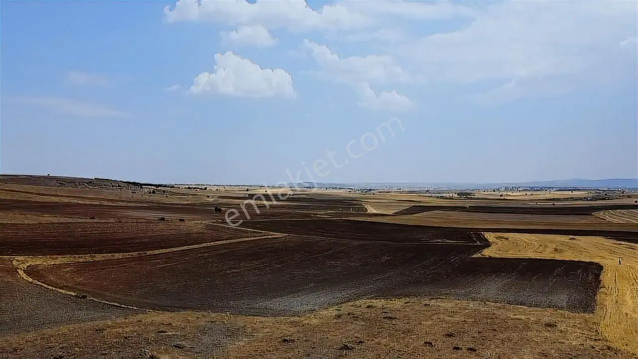 Rw Detay'Dan Yukarı Kartal'Da 13.478 M2 Satılık Tarla