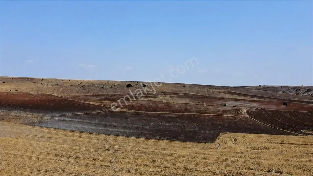 Rw Detay'dan Yukarı Kartal'da 13.478 M2 Satılık Tarla — fotoğraf 3