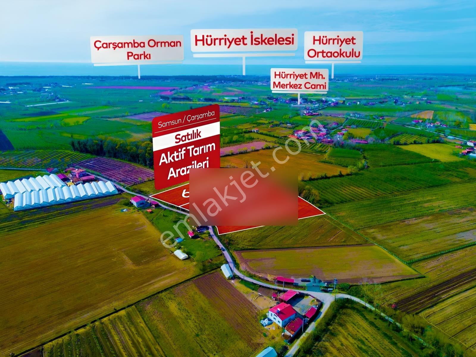 Deneyim'Den Çarşamba Hürriyet'Te 20.496 M² Satılık Tarım Arazisi