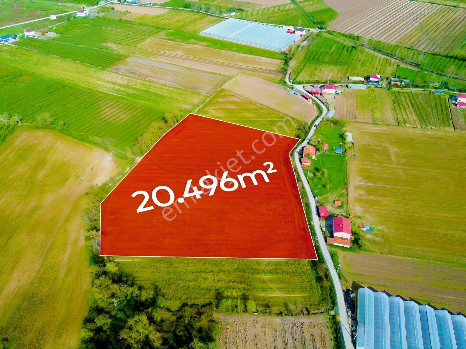 Deneyim'den Çarşamba Hürriyet'te 20.496 M² Satılık Tarım Arazisi — fotoğraf 2
