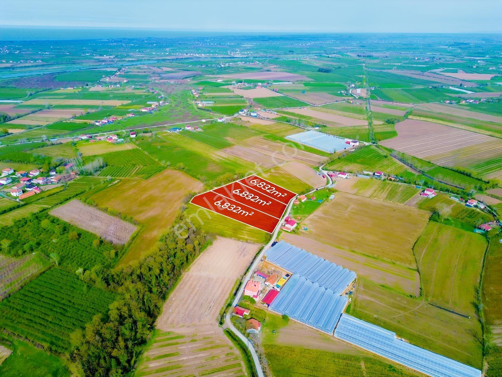 Deneyim'den Çarşamba Hürriyet'te 20.496 M² Satılık Tarım Arazisi — fotoğraf 4