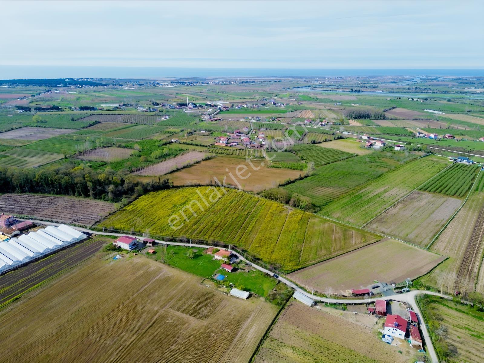 Deneyim'den Çarşamba Hürriyet'te 20.496 M² Satılık Tarım Arazisi — fotoğraf 5