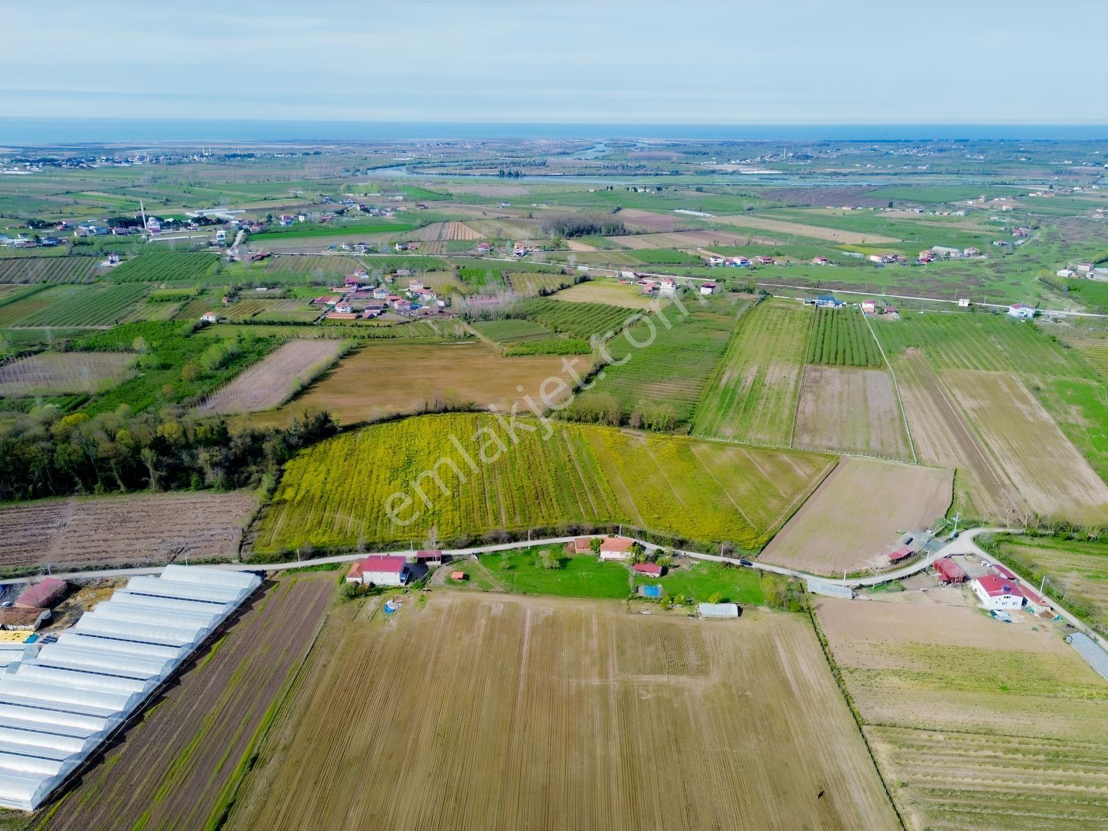 Deneyim'den Çarşamba Hürriyet'te 20.496 M² Satılık Tarım Arazisi — fotoğraf 6