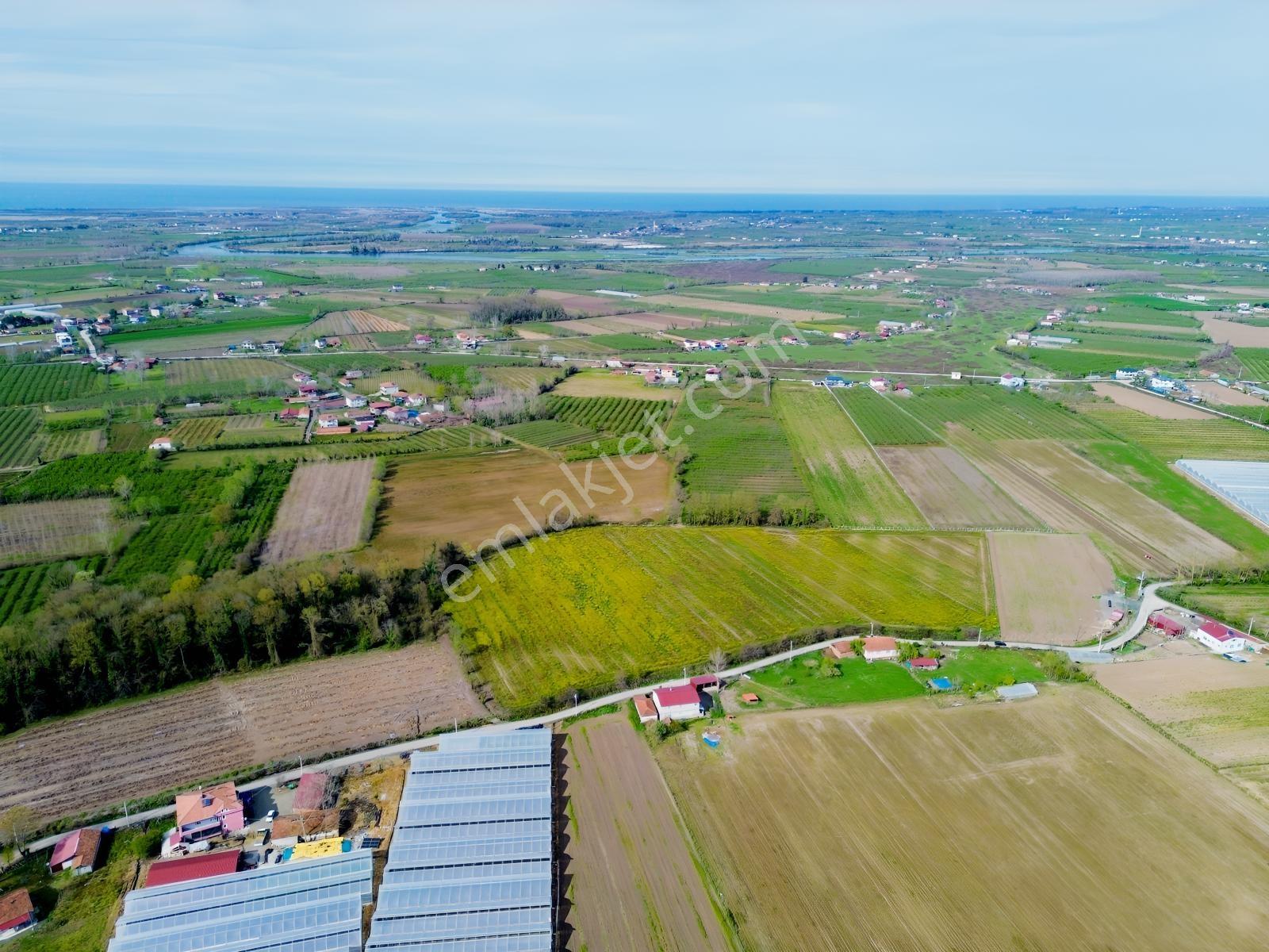 Deneyim'den Çarşamba Hürriyet'te 20.496 M² Satılık Tarım Arazisi — fotoğraf 7
