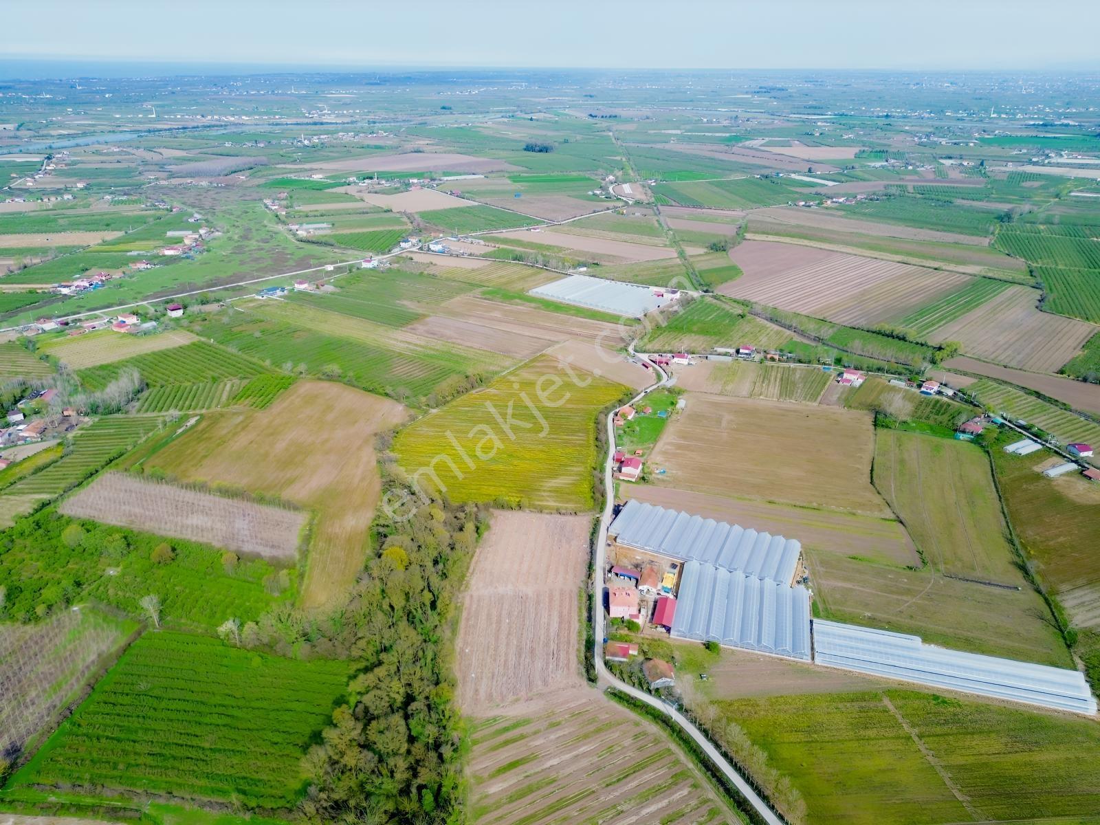 Deneyim'den Çarşamba Hürriyet'te 20.496 M² Satılık Tarım Arazisi — fotoğraf 8