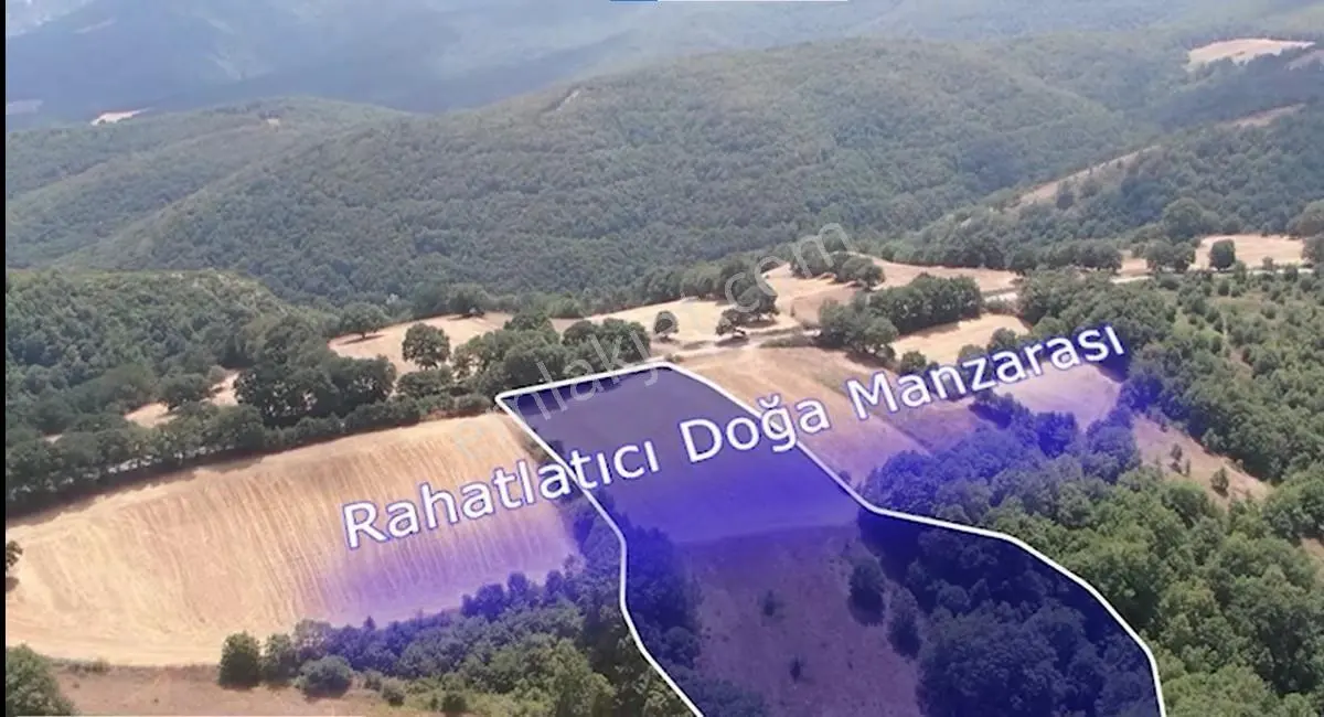 Çanakkale Biga Sarısıvat Köyü 11.863 M2 Satılık Fırsat Tarla