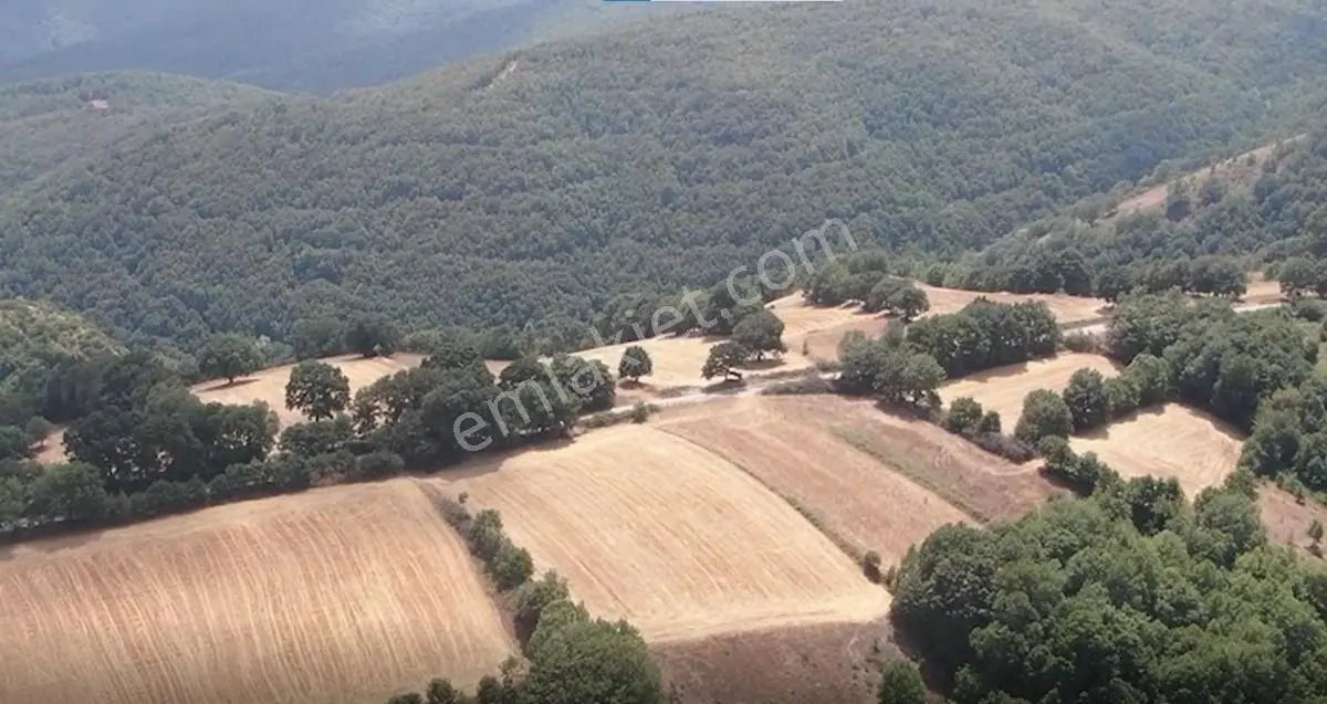 Çanakkale Biga Sarısıvat Köyü 11.863 M2 Satılık Fırsat Tarla — fotoğraf 2