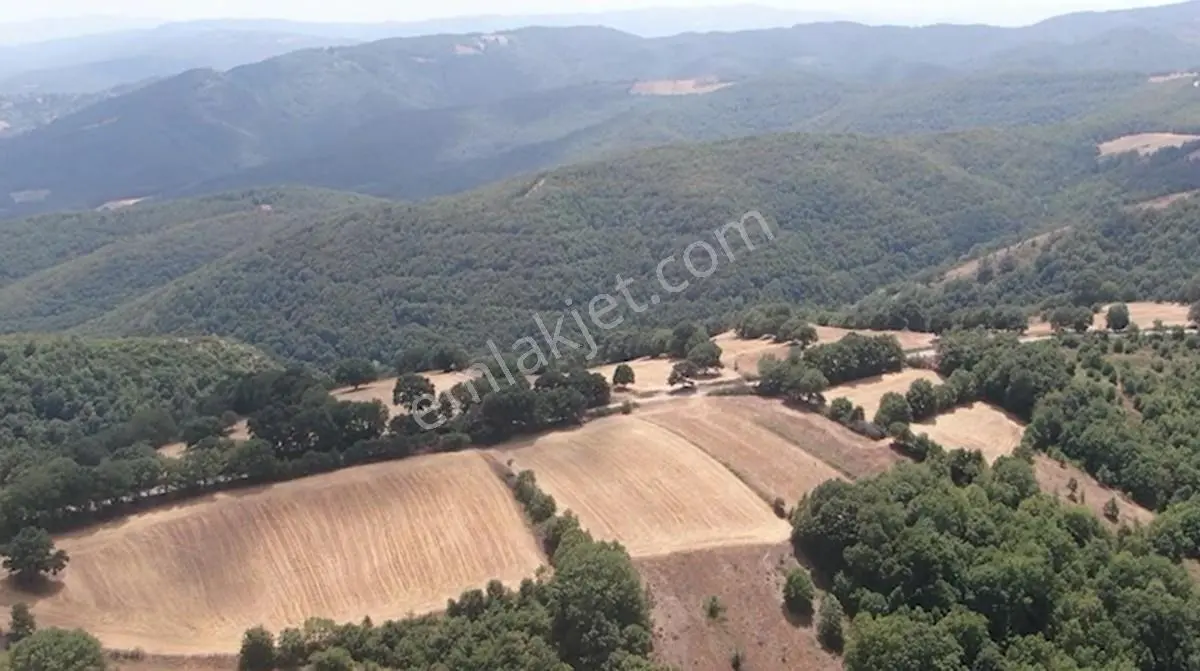 Çanakkale Biga Sarısıvat Köyü 11.863 M2 Satılık Fırsat Tarla — fotoğraf 3