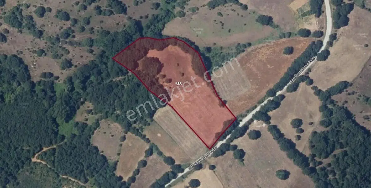 Çanakkale Biga Sarısıvat Köyü 11.863 M2 Satılık Fırsat Tarla — fotoğraf 5