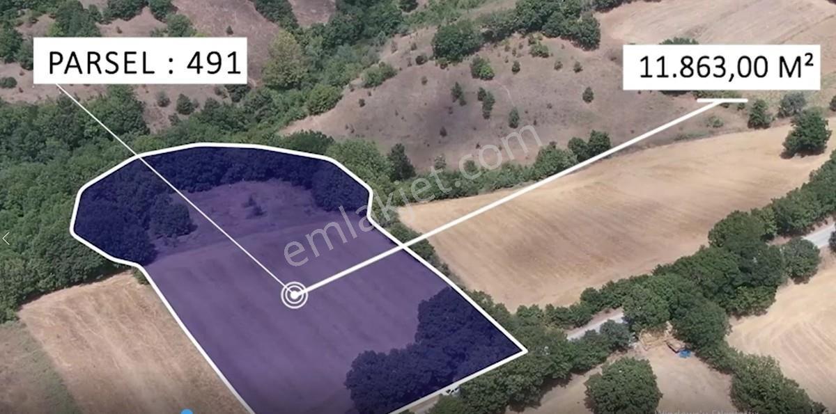 Çanakkale Biga Sarısıvat Köyü 11.863 M2 Satılık Fırsat Tarla — fotoğraf 7