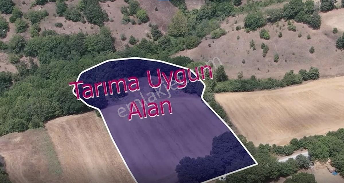 Çanakkale Biga Sarısıvat Köyü 11.863 M2 Satılık Fırsat Tarla — fotoğraf 8