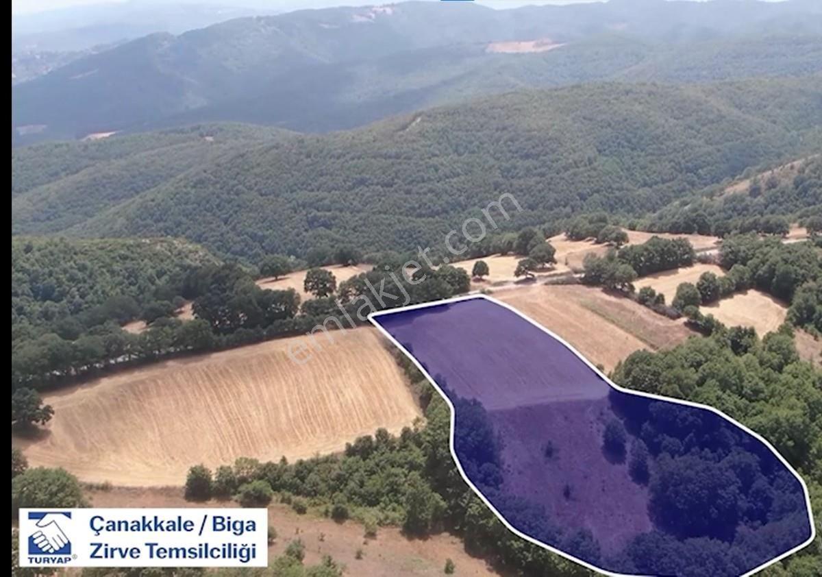 Çanakkale Biga Sarısıvat Köyü 11.863 M2 Satılık Fırsat Tarla — fotoğraf 9