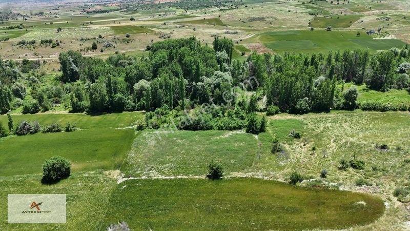Akören Tülce De 2.756 M² Dereye Yakın Bahçe Yapımına Uygun Bahçe — fotoğraf 6