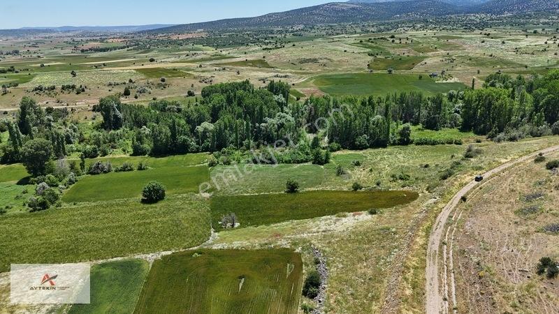 Akören Tülce De 2.756 M² Dereye Yakın Bahçe Yapımına Uygun Bahçe — fotoğraf 13