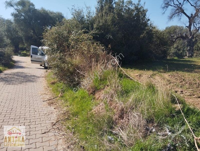 Antika'dan Yola Sıfır Konumda Bucak Mahallesinde Satılık Tarla — fotoğraf 6