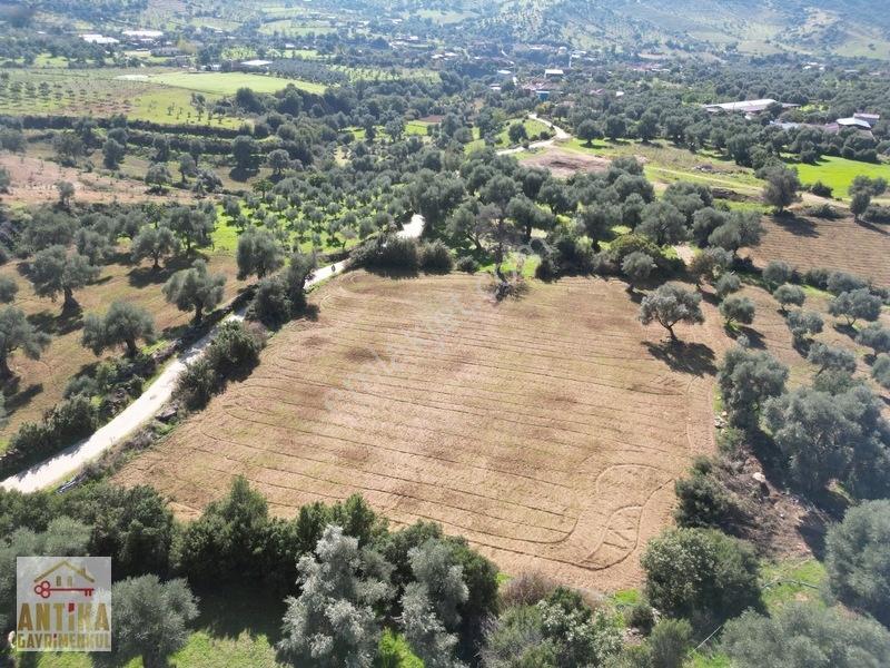 Antika'dan Yola Sıfır Konumda Bucak Mahallesinde Satılık Tarla — fotoğraf 11