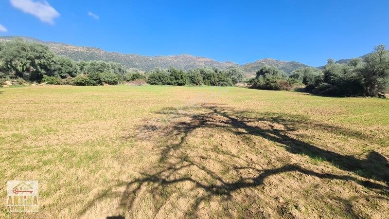 Antika'dan Yola Sıfır Konumda Bucak Mahallesinde Satılık Tarla — fotoğraf 26