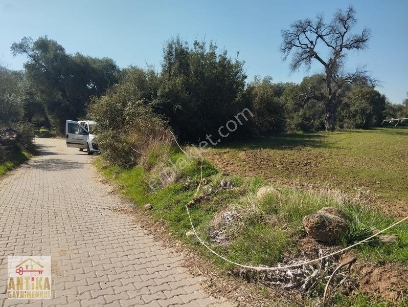 Antika'dan Yola Sıfır Konumda Bucak Mahallesinde Satılık Tarla — fotoğraf 31