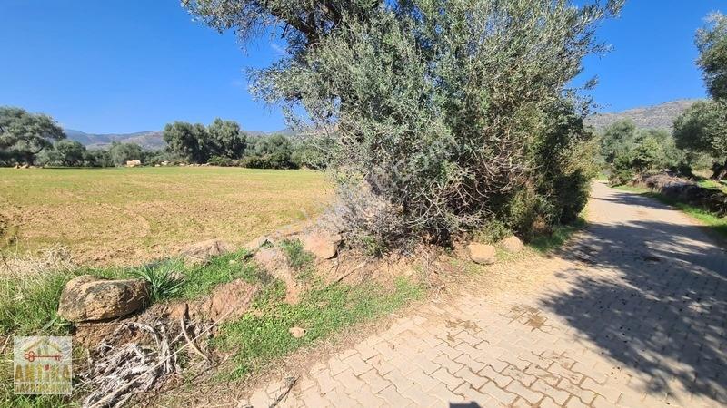 Antika'dan Yola Sıfır Konumda Bucak Mahallesinde Satılık Tarla — fotoğraf 32