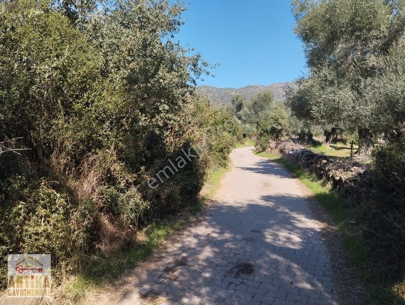 Antika'dan Yola Sıfır Konumda Bucak Mahallesinde Satılık Tarla — fotoğraf 33