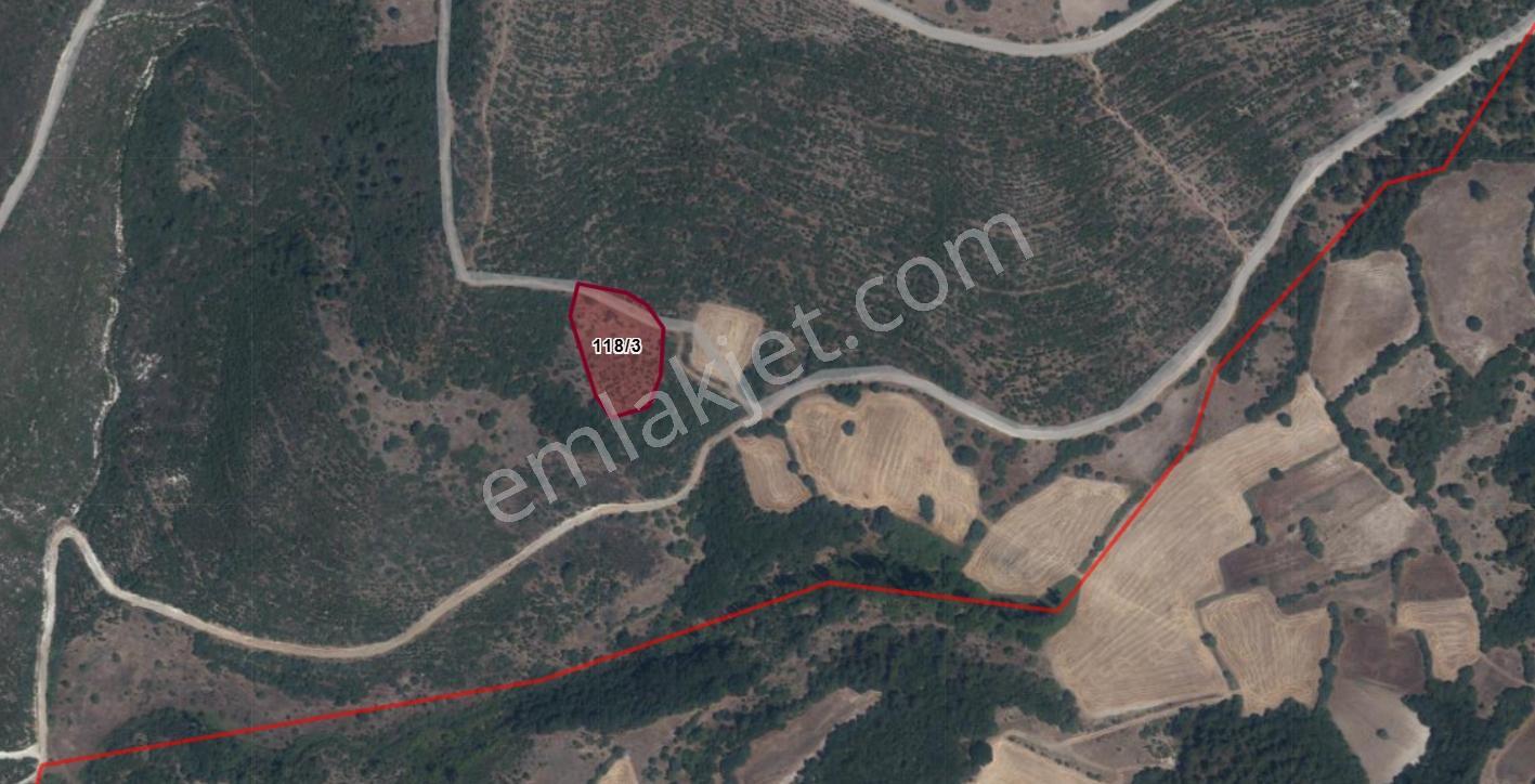 Mir'den Kepsut Tilkicik'de 4087 M2 Satılık Tarla — fotoğraf 2