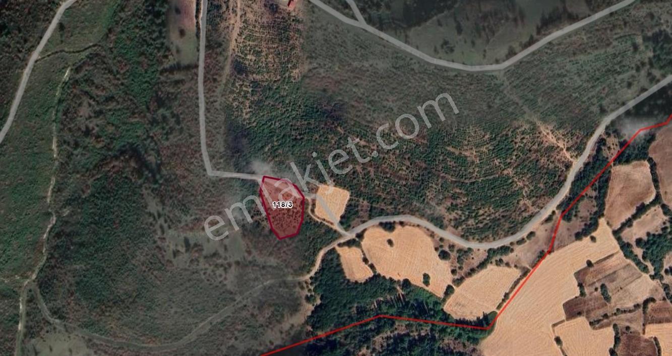 Mir'den Kepsut Tilkicik'de 4087 M2 Satılık Tarla — fotoğraf 10