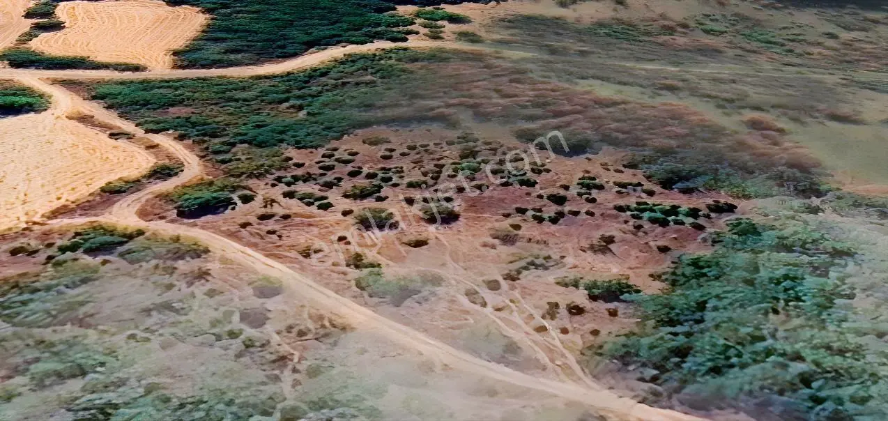 Mir'den Kepsut Tilkicik'de 4087 M2 Satılık Tarla — fotoğraf 13