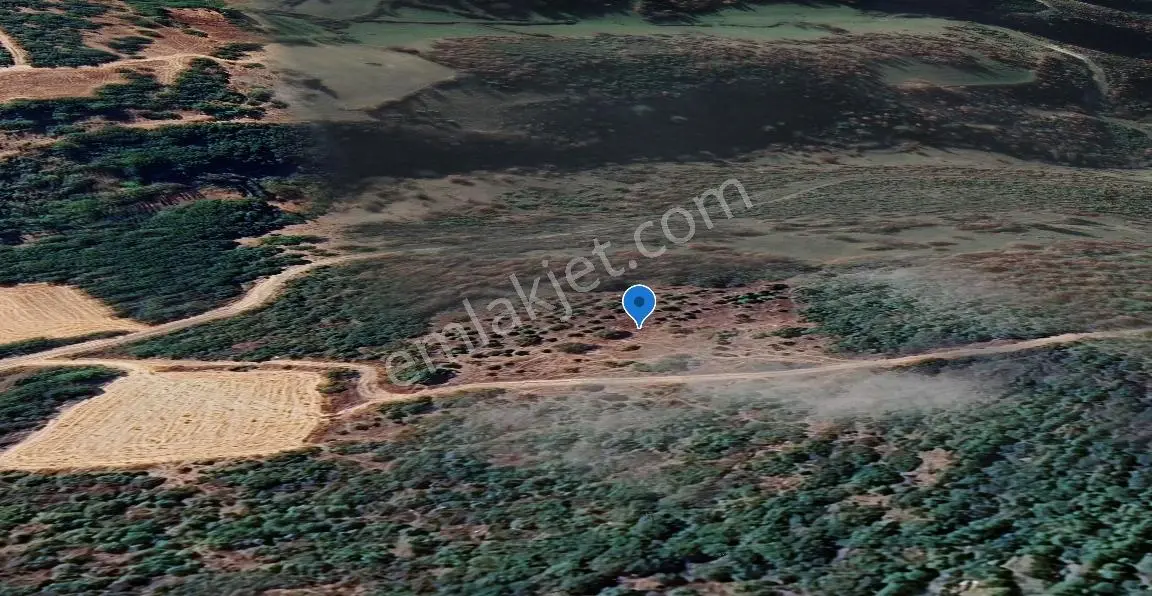 Mir'den Kepsut Tilkicik'de 4087 M2 Satılık Tarla — fotoğraf 14