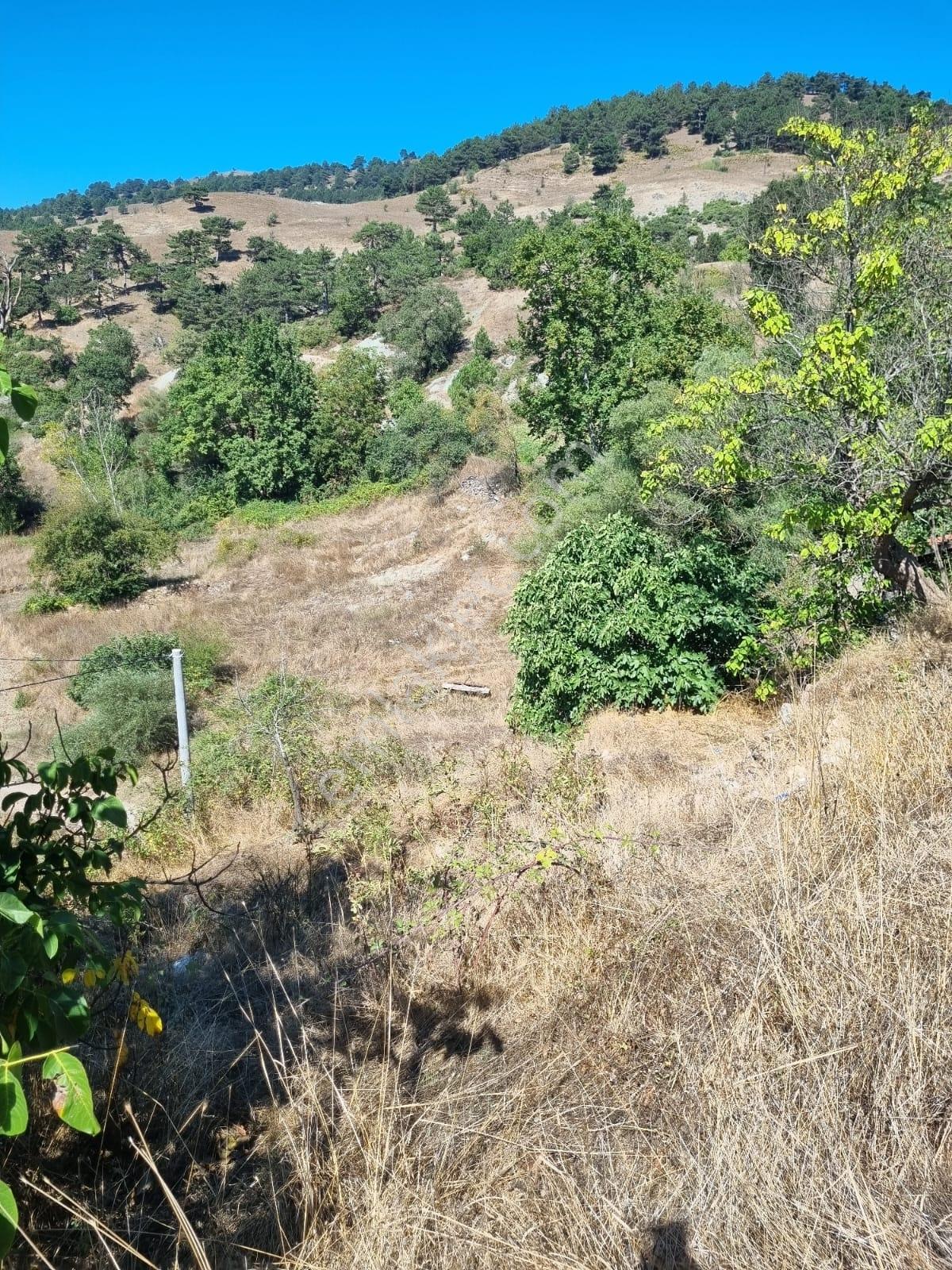 Truva Gayrimenkul Den Sındırgı Aktaş Köy İçi Ev Yapılır 2558m2 — fotoğraf 7