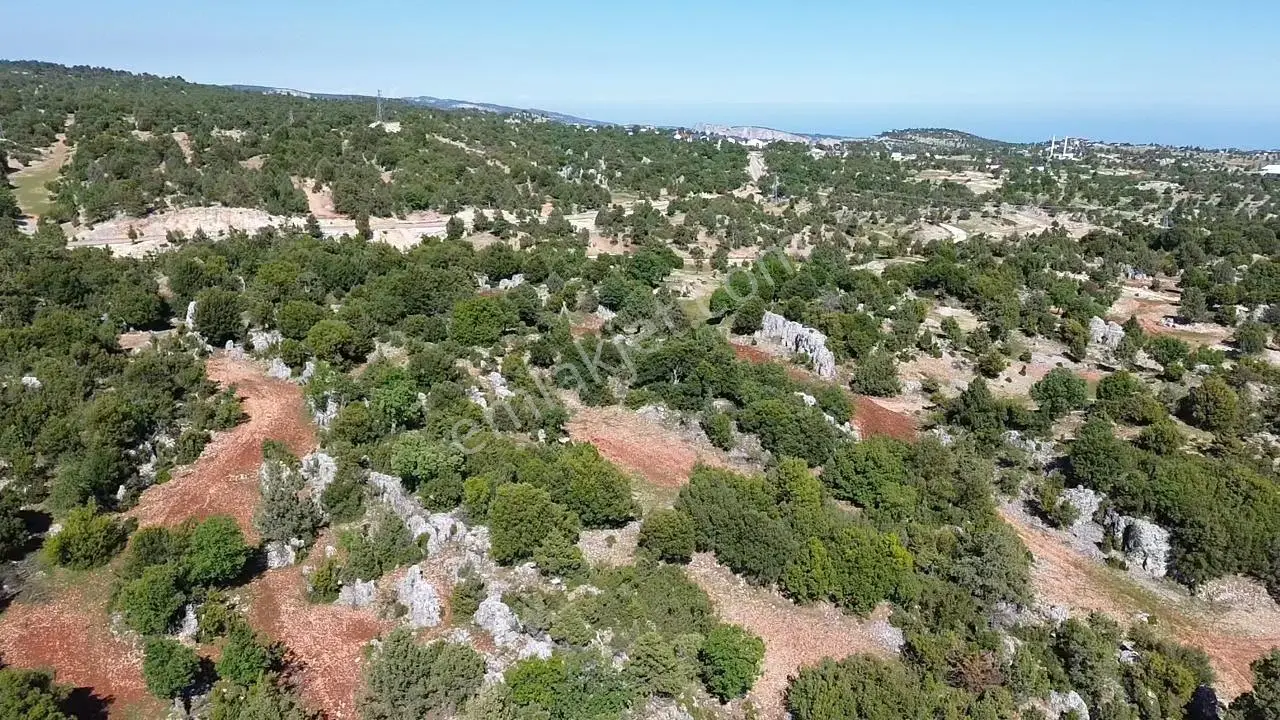 Sarıkaya’da 979 M² Müstakil Tapulu Tarla – Satılık — fotoğraf 3