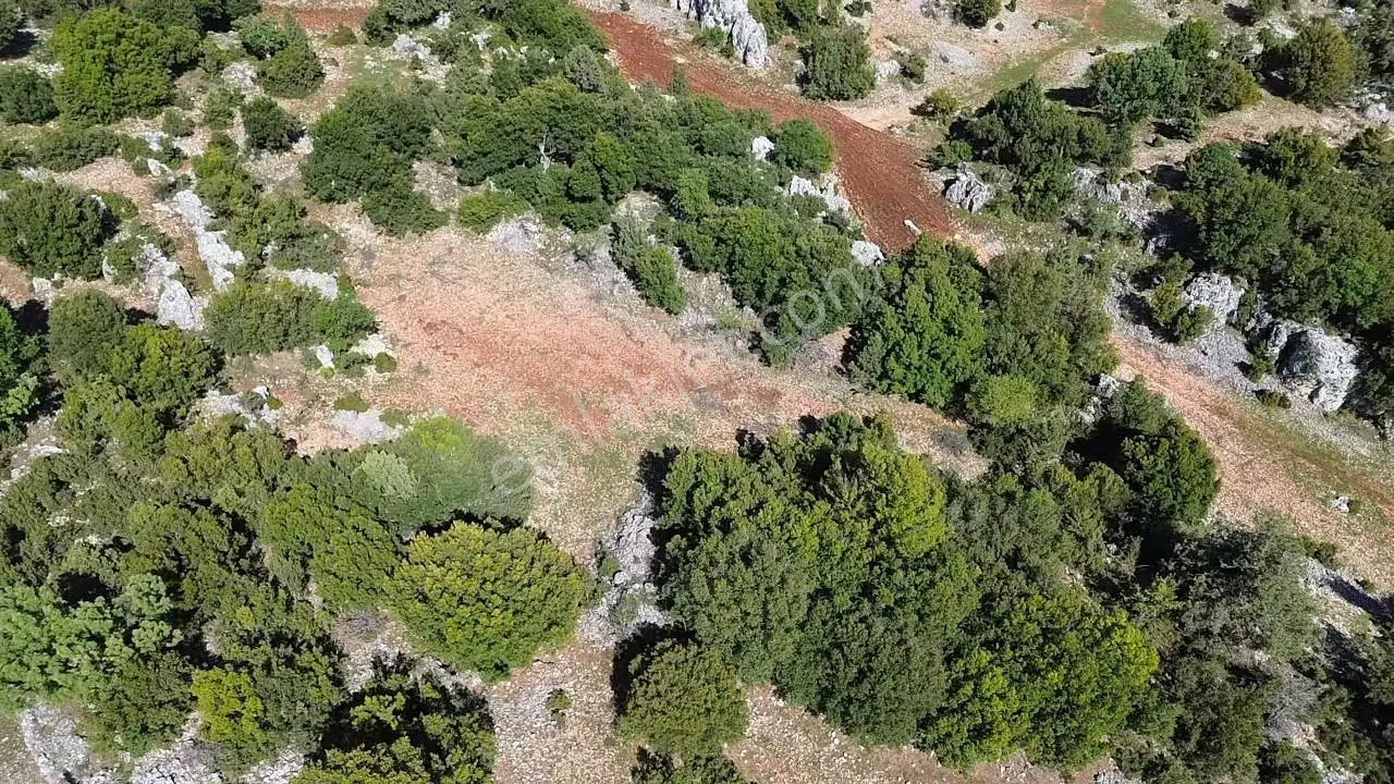 Sarıkaya’da 979 M² Müstakil Tapulu Tarla – Satılık — fotoğraf 5