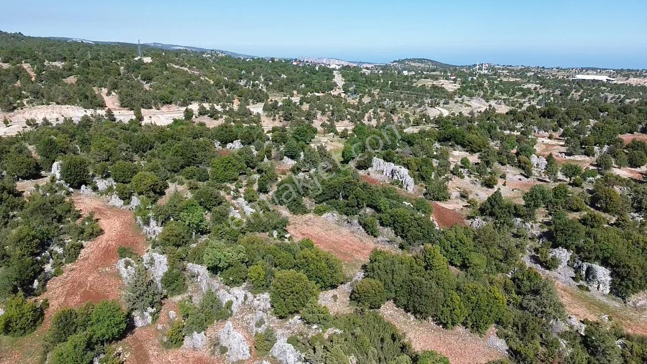 Sarıkaya’da 979 M² Müstakil Tapulu Tarla – Satılık — fotoğraf 6