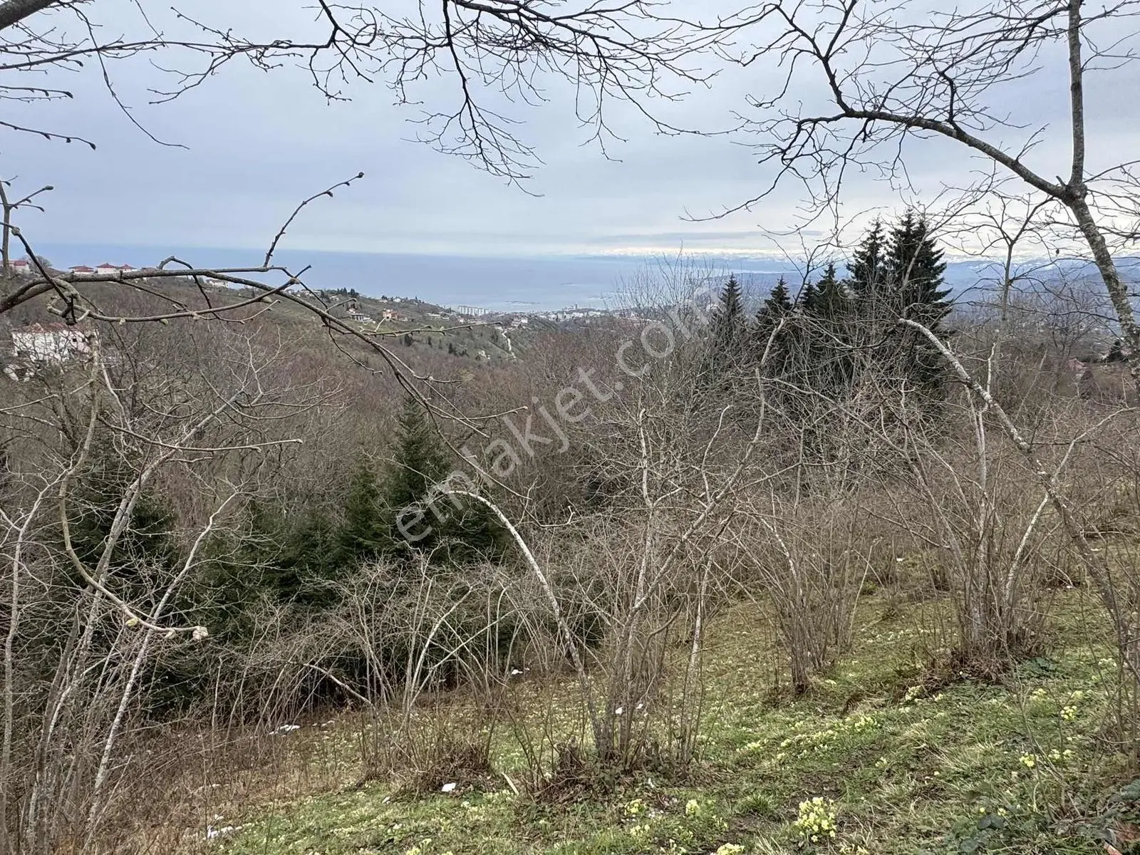 Trabzon Kavala'da Satılık Villalık Arazi — fotoğraf 5