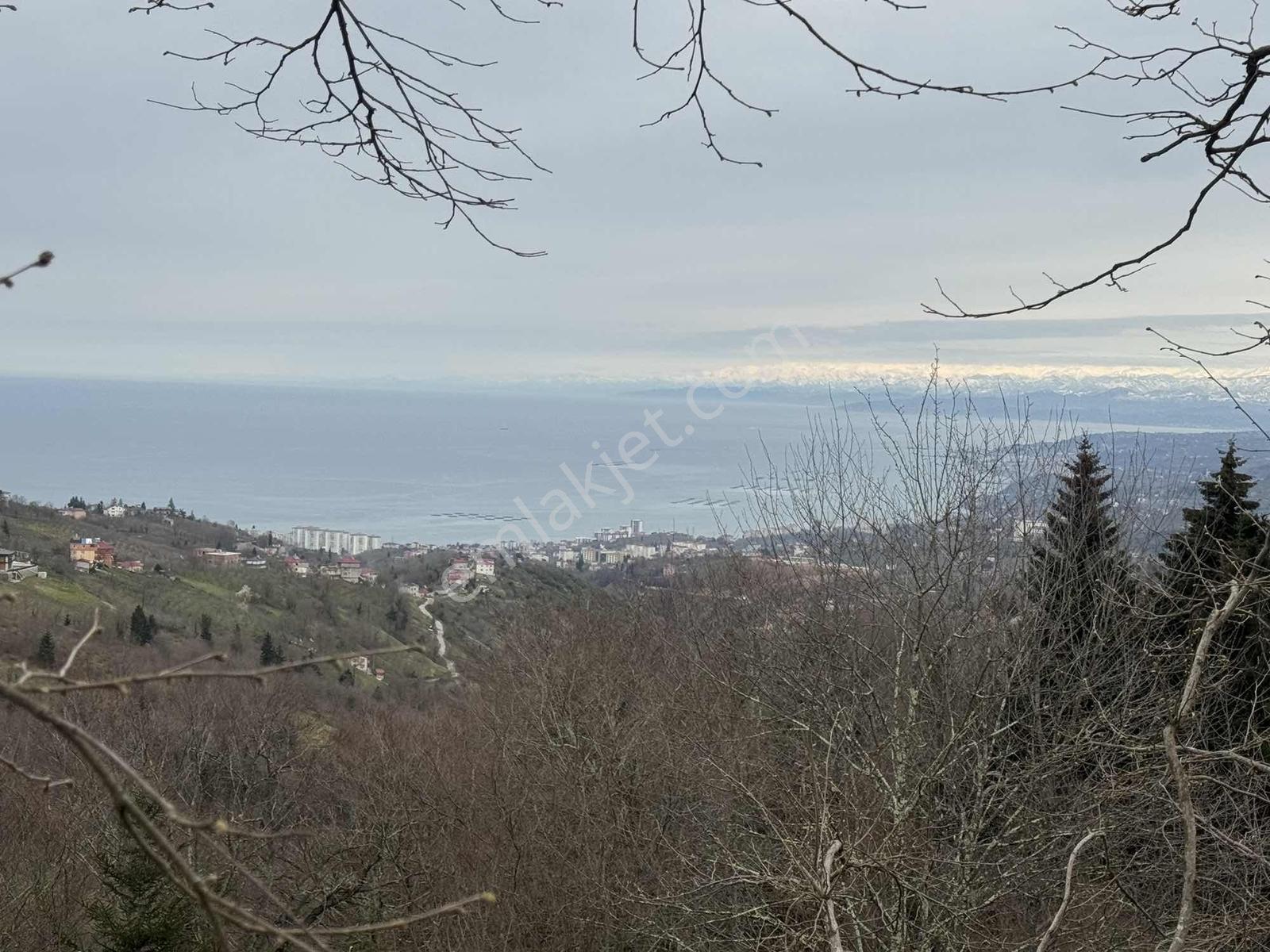 Trabzon Kavala'da Satılık Villalık Arazi — fotoğraf 6