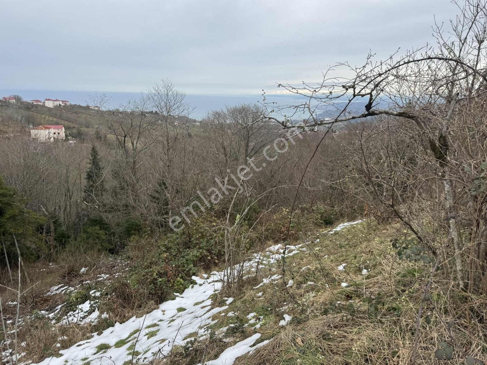 Trabzon Kavala'da Satılık Villalık Arazi — fotoğraf 7