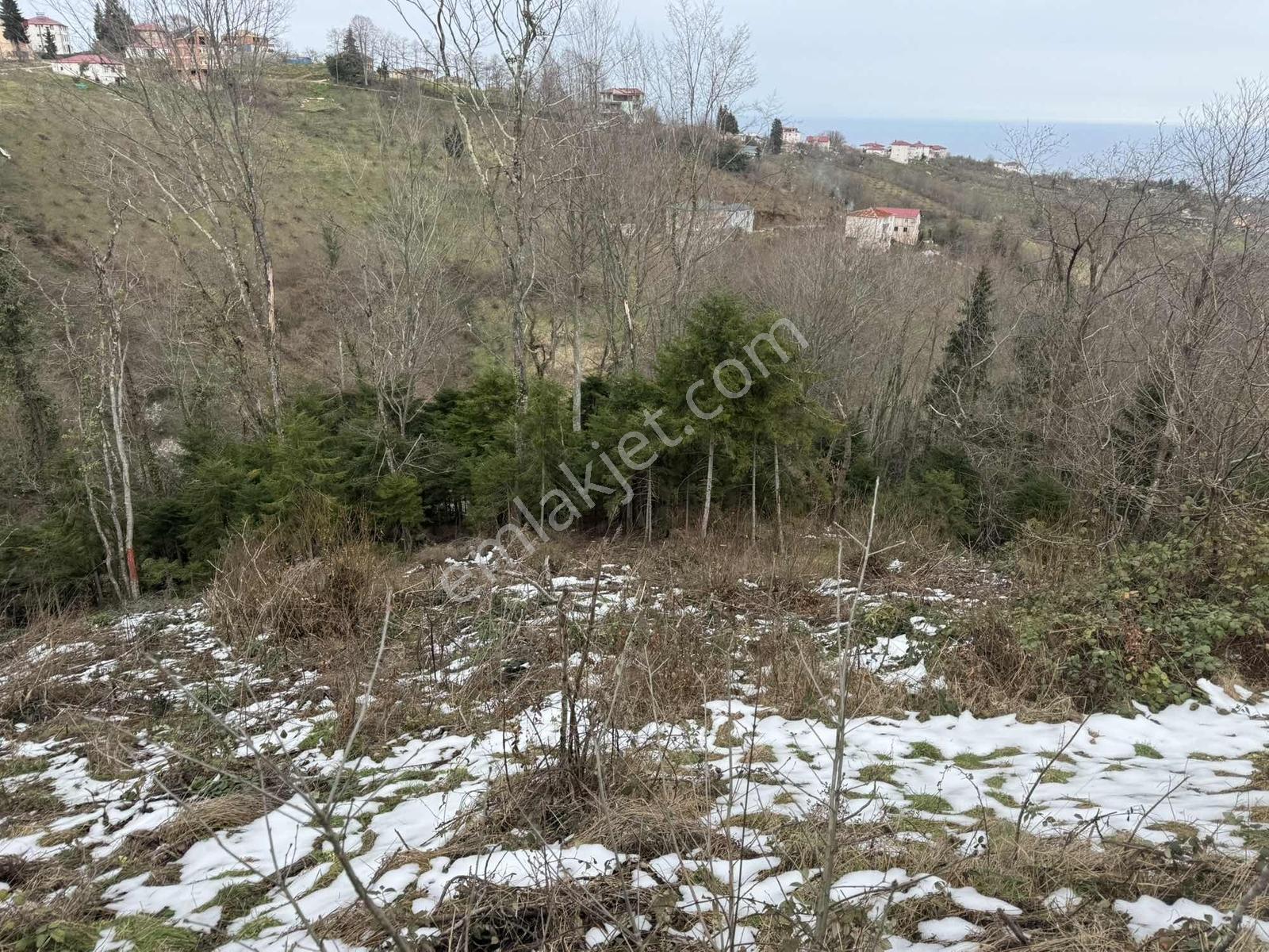 Trabzon Kavala'da Satılık Villalık Arazi — fotoğraf 8